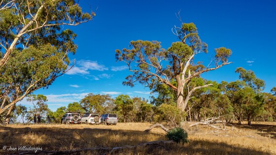 Annual Visit to Pyrenees SF – 10th – 11th August 2024