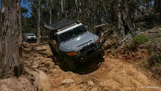 Exploring Lerderderg - Sun 30th June 2024