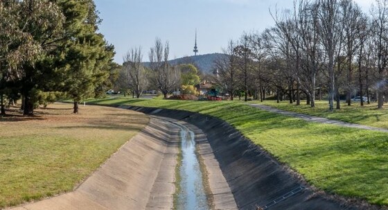 Sullivans Creek Path - 50th Anniversary 