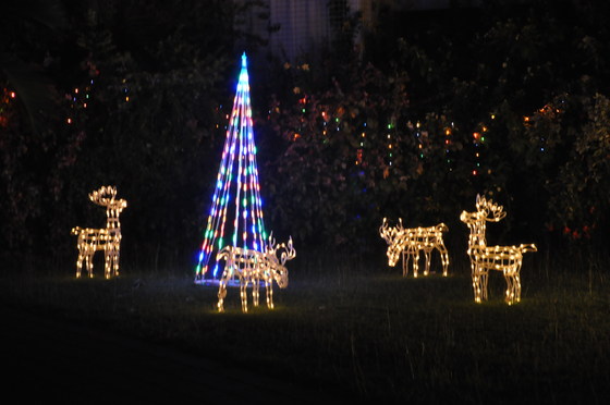 UNAA NT - Christmas/End of Year members' dinner