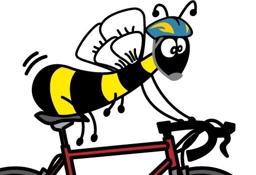 Clubrooms and Velo Working Bee