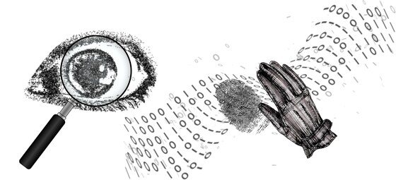 The Great Forensic Hunt