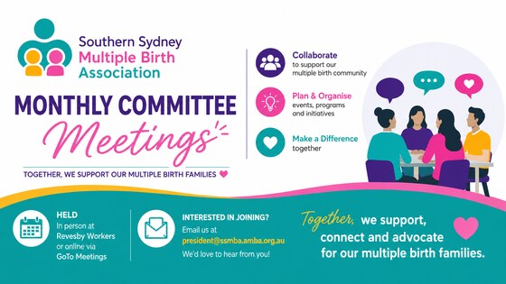 Monthly Committee Meeting - November 