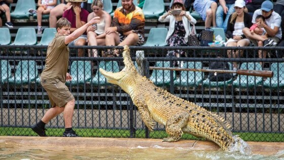 AFL Masters Australia Zoo Special Offer