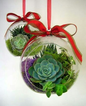 Monthly Succulent workshop with Nancy - with a Christmas twist