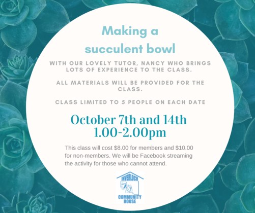 Creating a succulent bowl with Nancy