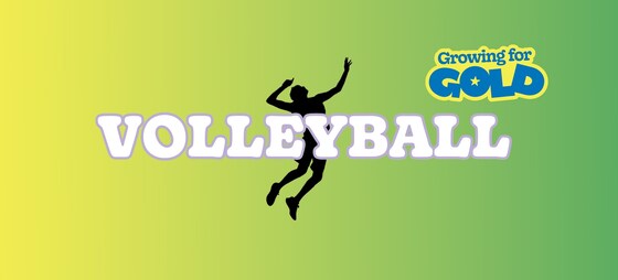 Volleyball | Ages 10-16 | Navigator College Stadium