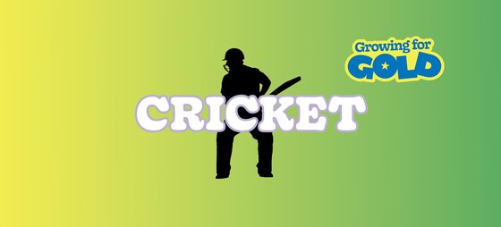 Cricket | Ages 5-8 | Tasman Cricket Club