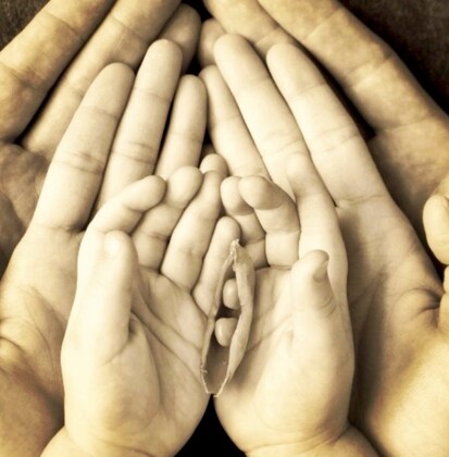 Expectant Parent Information Session