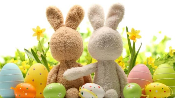 Easter Family Picnic & Swap Meet