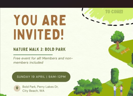 Nature Hike 2: Bold Park 