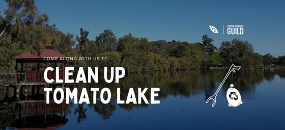 Clean-up at Tomato Lake