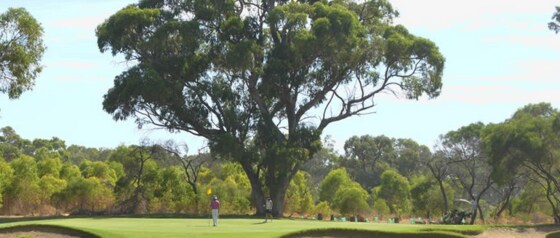 20251109 - ROCKINGHAM GC - E3