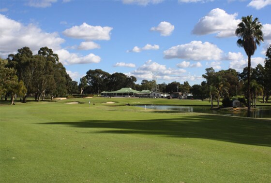 20250209 - Hillview Golf Course