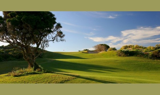 20190825 The Cut Golf Club