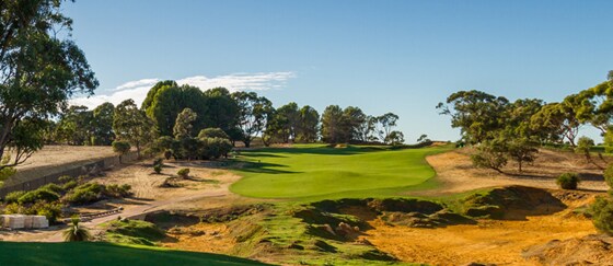 20241110 SUN CITY - Eclectic Rd 3