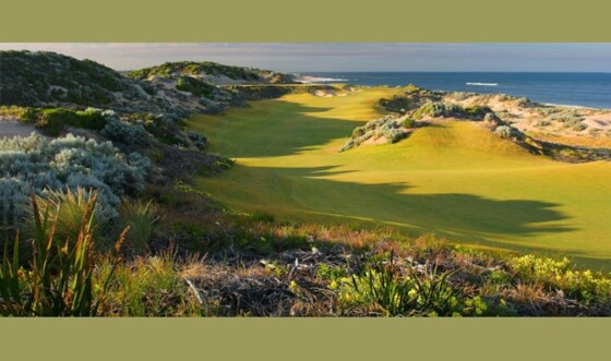 20260329 The Cut Autumn E 2