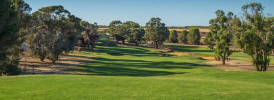 20201018 Sun City Country Club