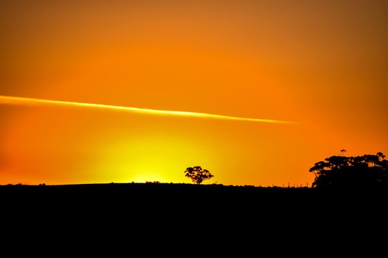 Conspiracy and Drive Ins