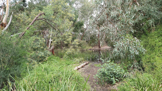 Warrandyte Sate Park - Gold Heritage Walk
