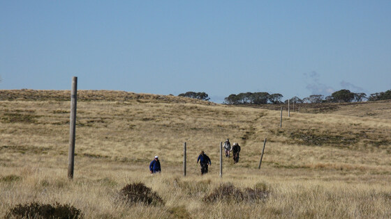 (EXPRESSIONS OF INTEREST) Bogong High Plains Walking - accommodation at Falls Creek 