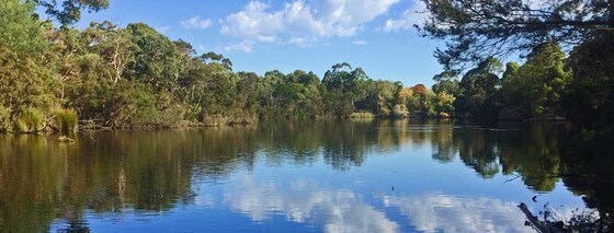 Blackburn Lake Loop Walk