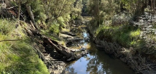 Jumping Creek (Warrandyte) Walk
