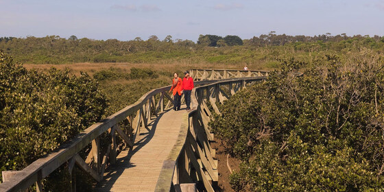 Hastings Coastal Boardwalks Explorer