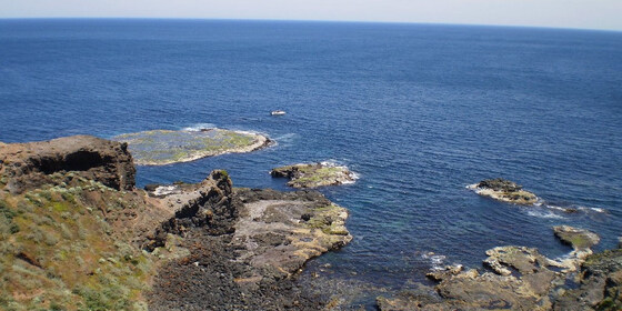 Bushrangers Bay to Cape Schanck Walk