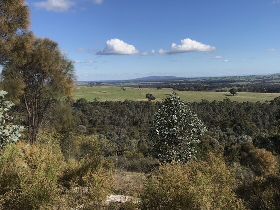 Naturist Walk, Kangaroo Flat, South Bendigo, Views and Wildflowers