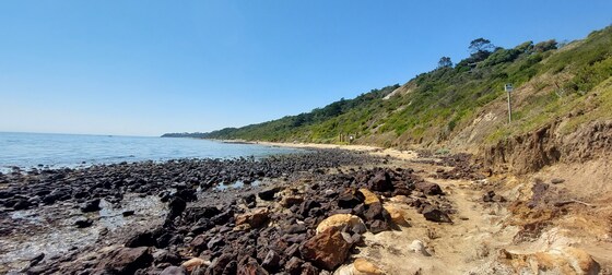 Mixed naturist beach day at Sunnyside North, and optional dinner afterwards