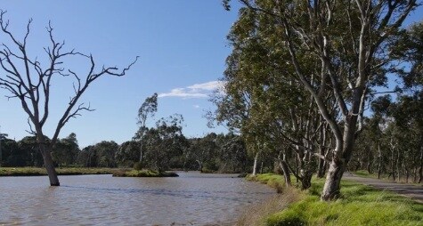Bundoora Park Loop