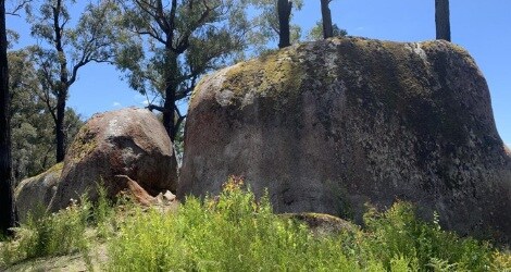 Four Brothers (Gembrook) Loop Walk