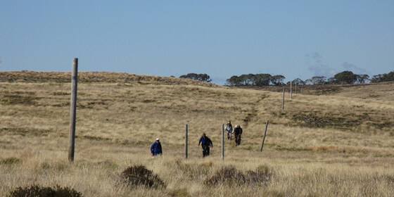 Overnight Backpacking in the Victorian Alps