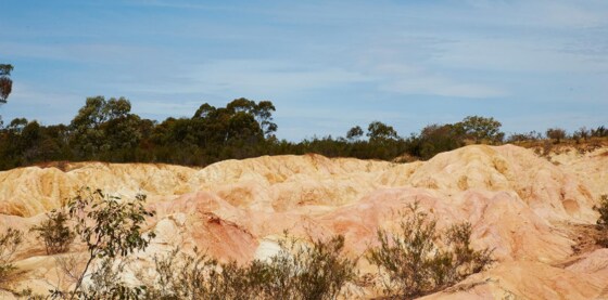 O'Keefe Rail Trail - Lake Eppalock to Heathcote walk