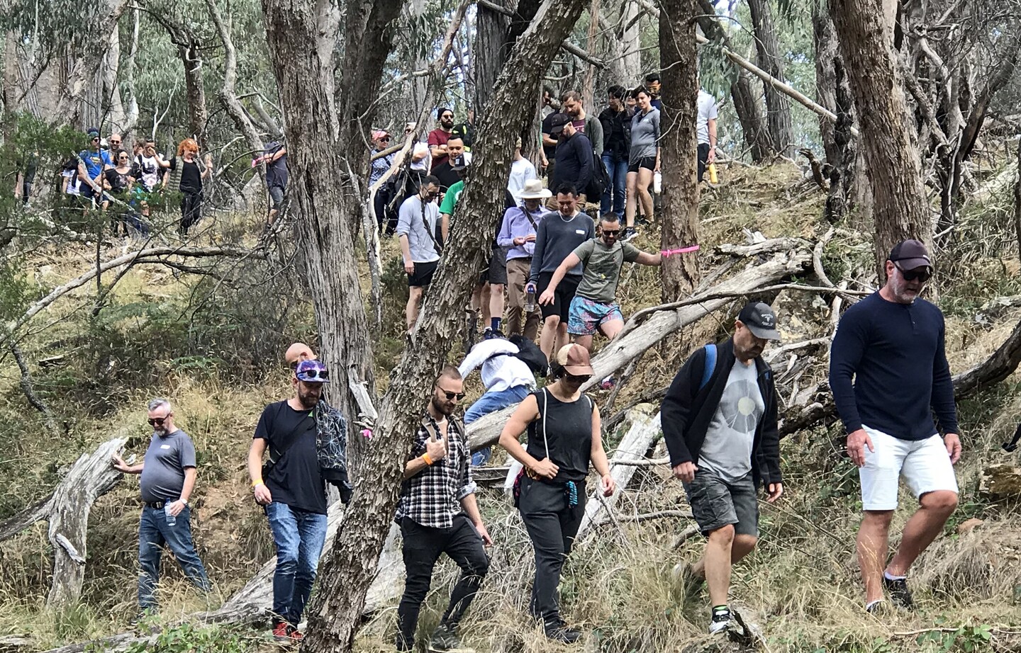 Chillout Community Bushwalk 2024 The Nomads Outdoors Group Inc