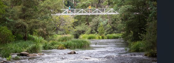 Warburton River & O'Shannassy Aqueduct Walk