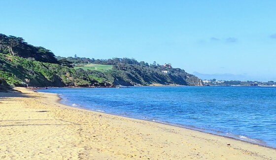 Sunnyside Naturist Beach Day - Postponed Again