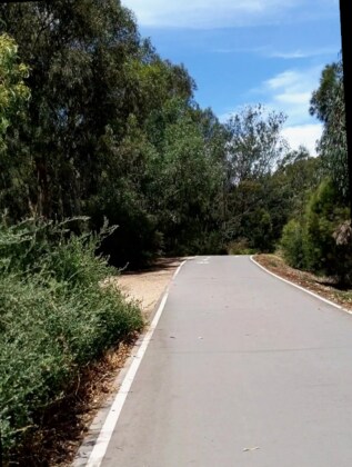 Federation Square to Abbottsford via the Main Yarra Trail