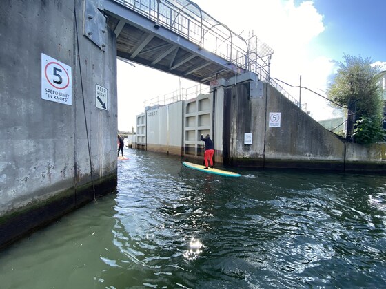 Patto Social Paddle
