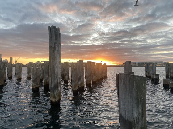 Sandridge Sunrise & Cruise Ships Social Paddle