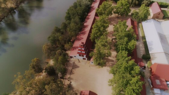 Tahbilk Winery Paddle