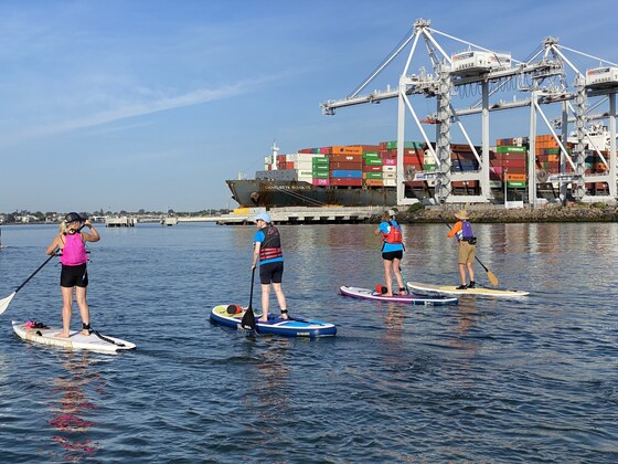 Sandridge to Willi Social Paddle
