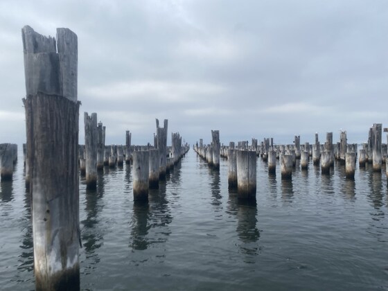 Clean Up Australia Day Princes Pier Clean Up