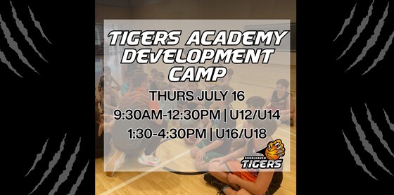 Tigers Academy Development Camp