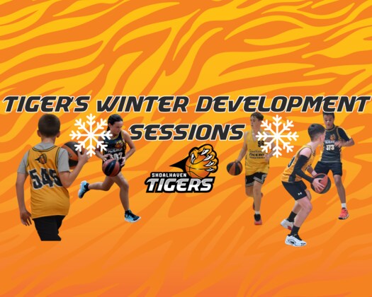 Tiger's Winter Development Sessions