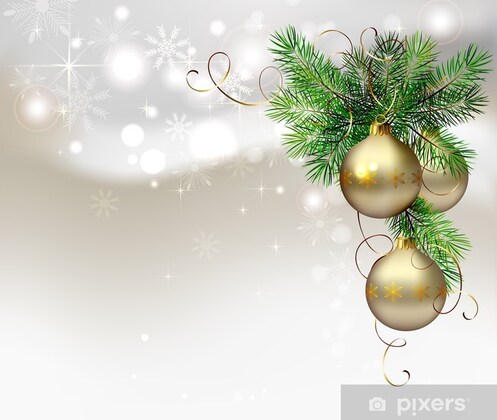 NBBC 2025 Christmas Dinner