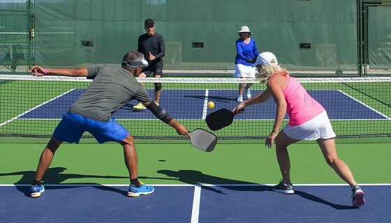Pickleball Fri 9.30-11.00 am