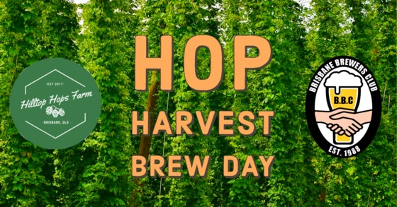 Hilltop Hops Harvest Brew Day