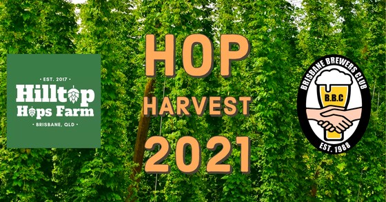 Hilltop Hops Harvest Day 2021